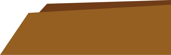 BetSisi